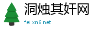 洞烛其奸网